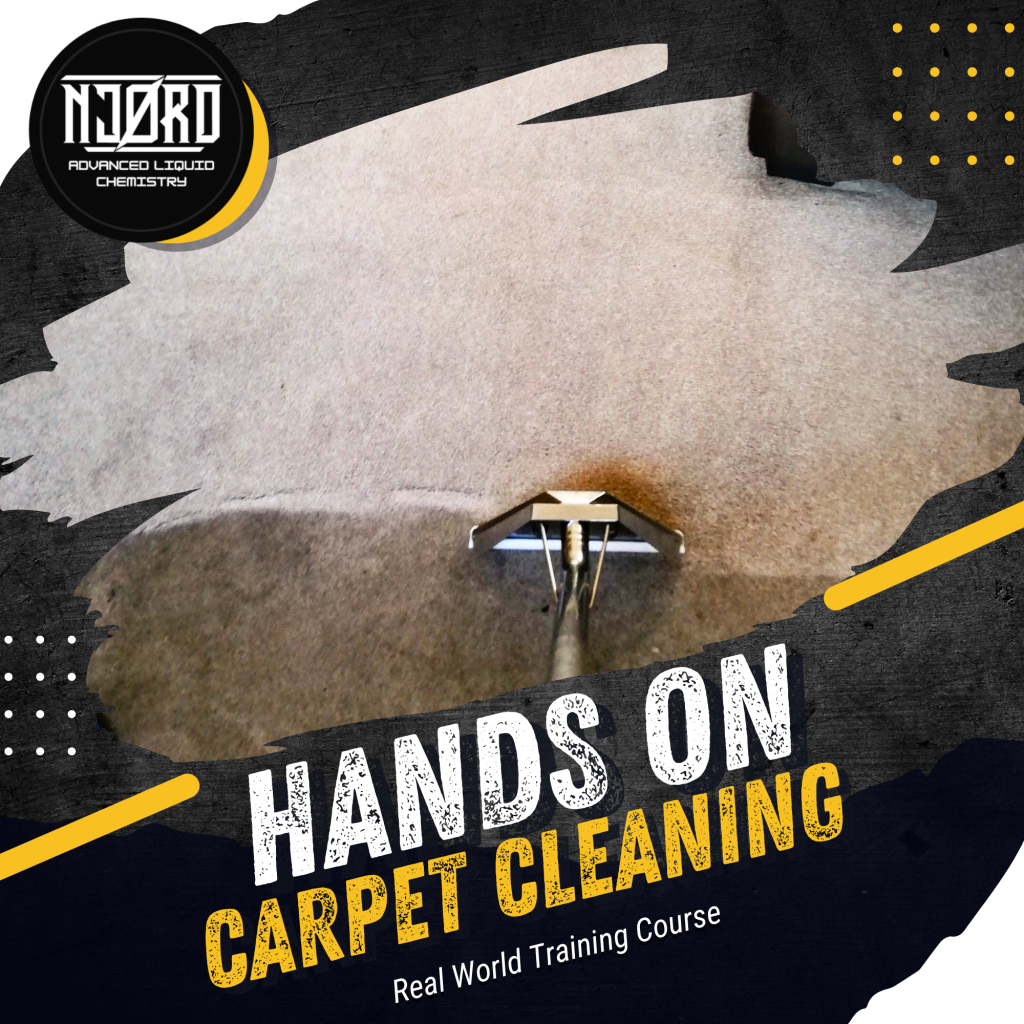 op-Rated Carpet Cleaners for Deep Cleaning and Fresh Floors