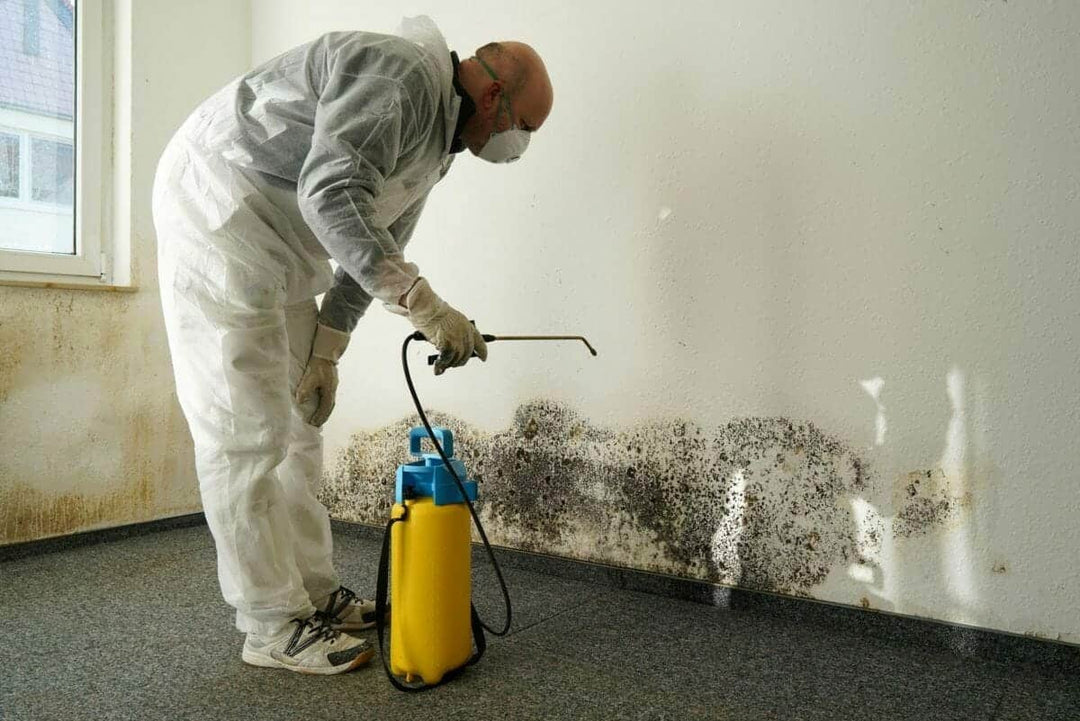 Top 8 Effective Tips to Prevent Black Mould in Your Home This Winter