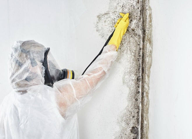 Mould Clean Preston 