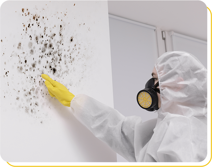 Best Mould Cleaning Services Preston